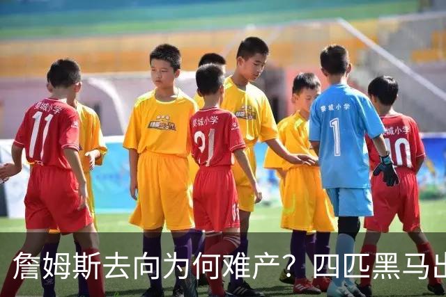 詹姆斯去向为何难产？四匹黑马出现加剧混乱